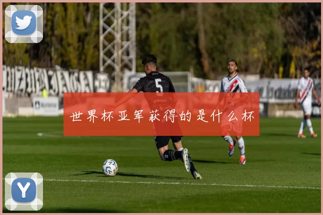 世界杯亚军获得的是什么杯