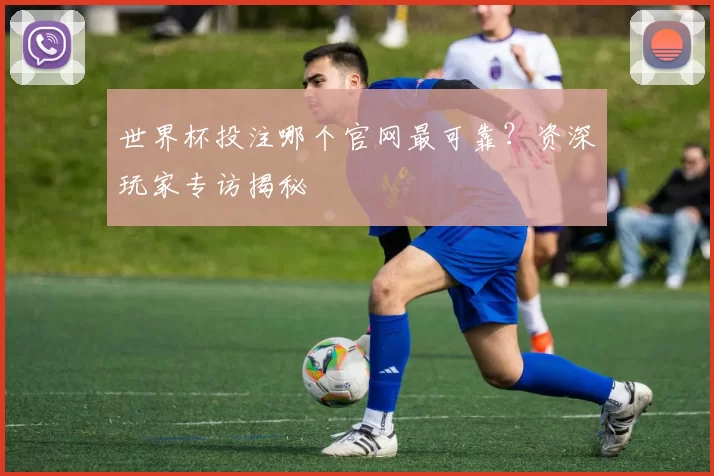 世界杯投注哪个官网最可靠？资深玩家专访揭秘