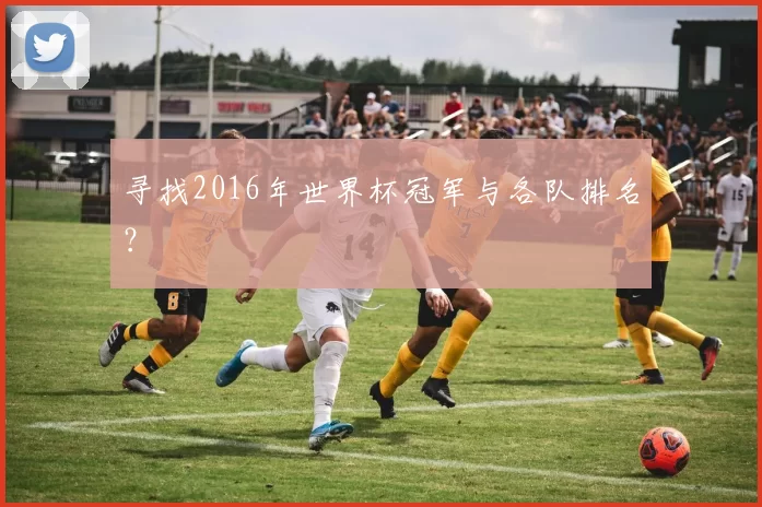 寻找2016年世界杯冠军与各队排名？