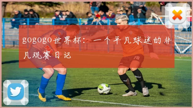 gogogo世界杯:一个平凡球迷的非凡观赛日记