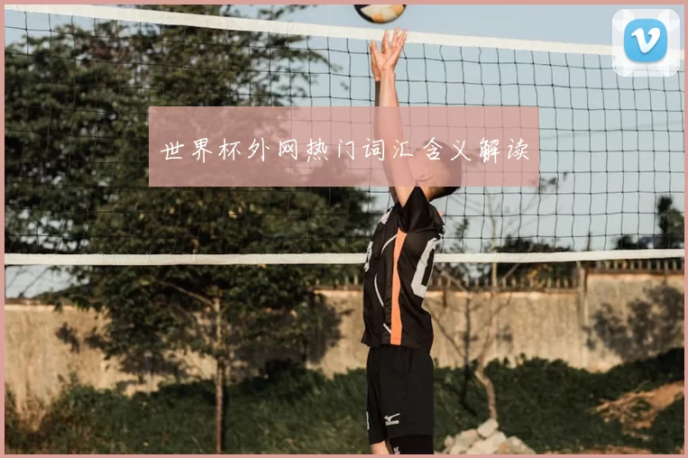 世界杯外网热门词汇含义解读
