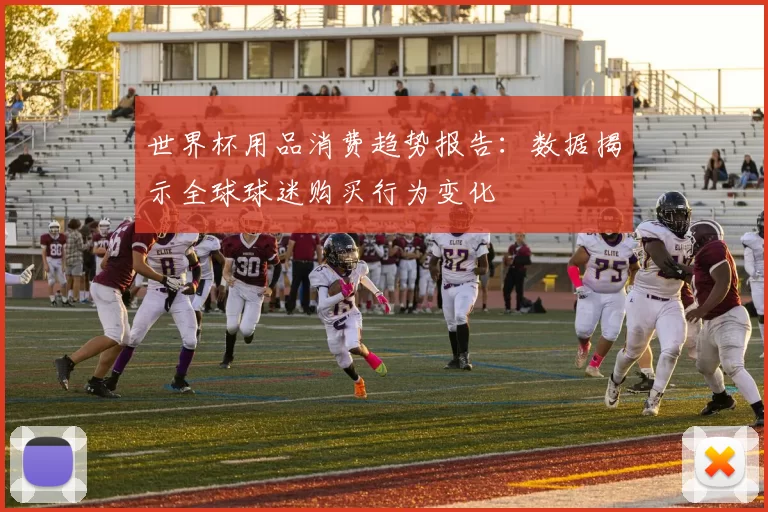世界杯用品消费趋势报告：数据揭示全球球迷购买行为变化