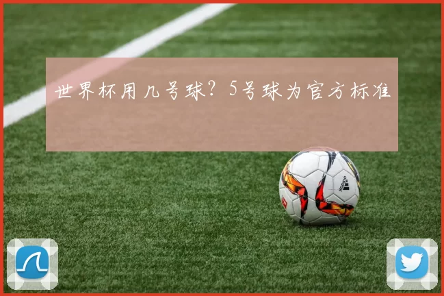 世界杯用几号球？5号球为官方标准