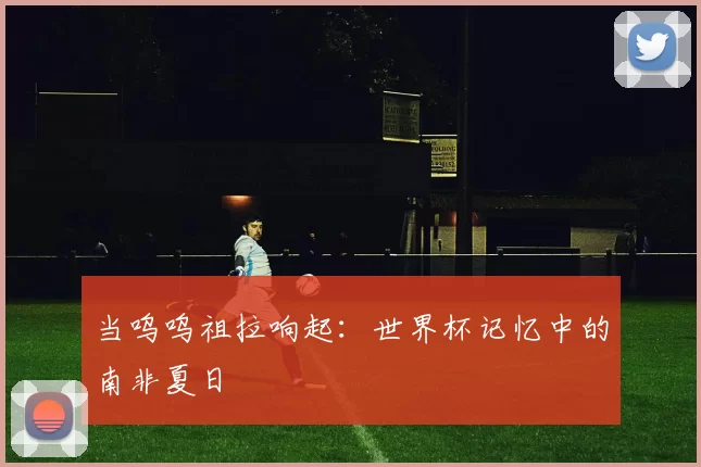 当呜呜祖拉响起：世界杯记忆中的南非夏日