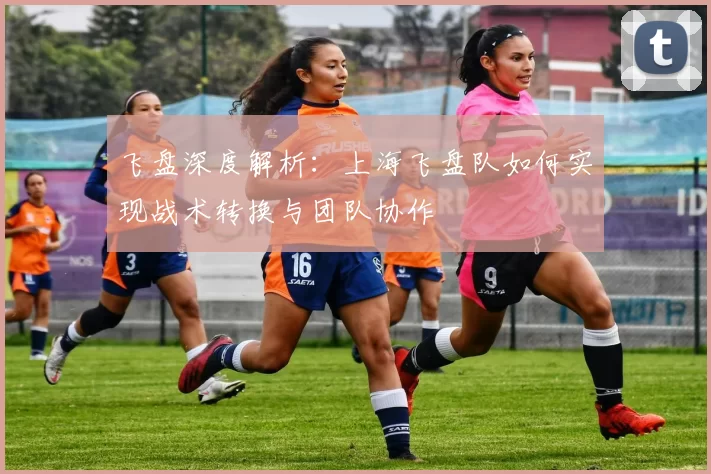 飞盘深度解析：上海飞盘队如何实现战术转换与团队协作