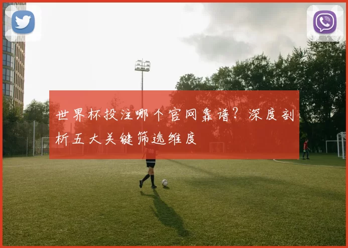 世界杯投注哪个官网靠谱？深度剖析五大关键筛选维度