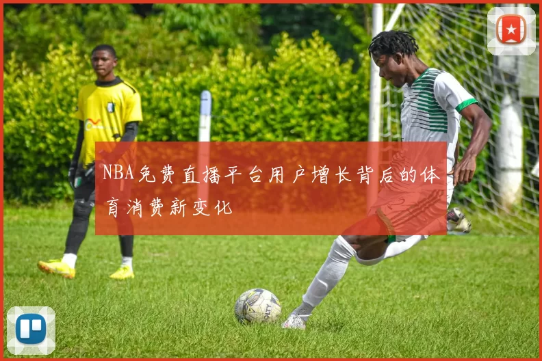 NBA免费直播平台用户增长背后的体育消费新变化