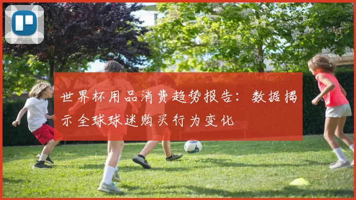 世界杯用品消费趋势报告:数据揭示全球球迷购买行为变化