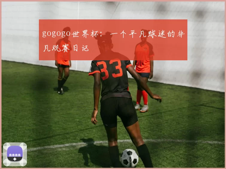 gogogo世界杯：一个平凡球迷的非凡观赛日记