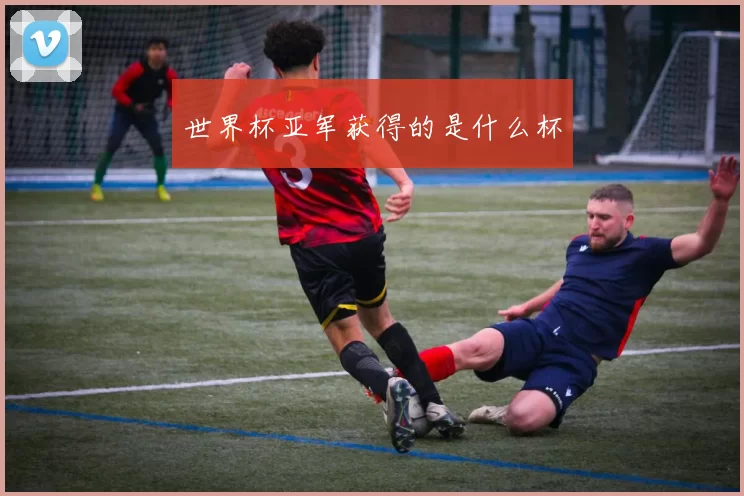 世界杯亚军获得的是什么杯