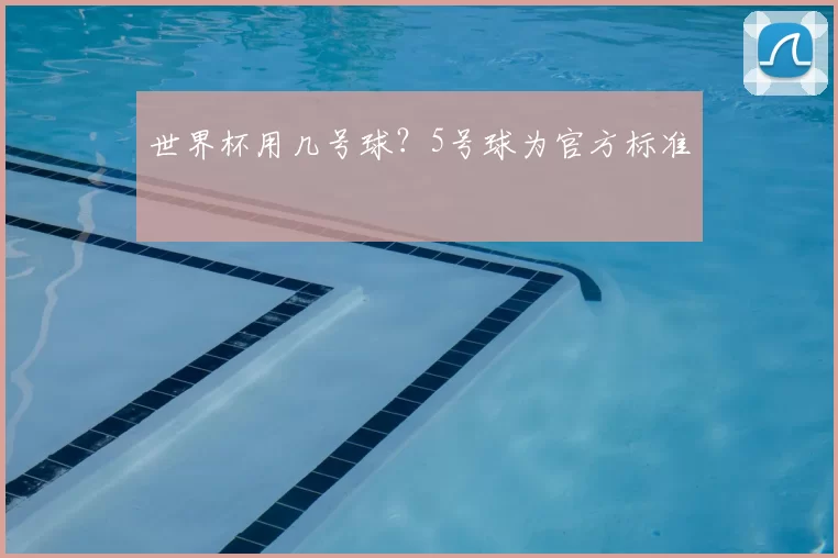 世界杯用几号球?5号球为官方标准