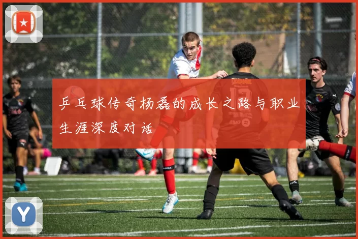乒乓球传奇杨磊的成长之路与职业生涯深度对话