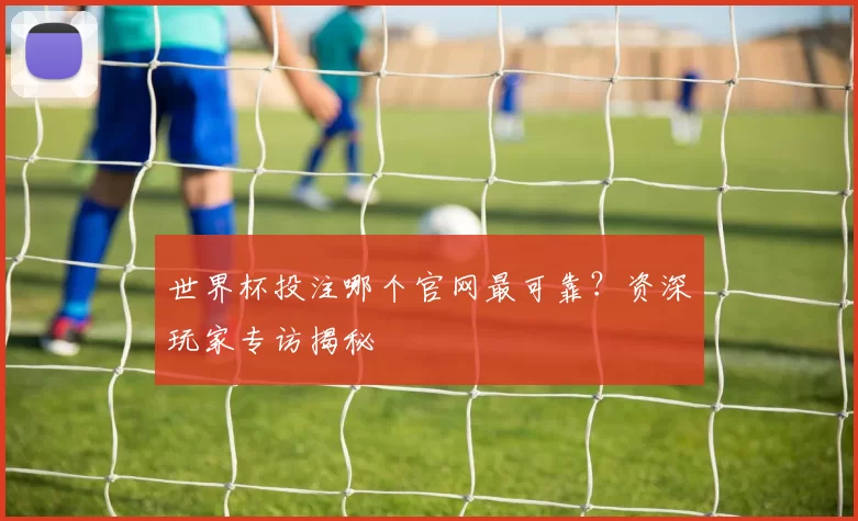世界杯投注哪个官网最可靠？资深玩家专访揭秘
