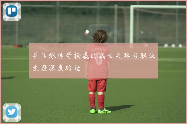 乒乓球传奇杨磊的成长之路与职业生涯深度对话